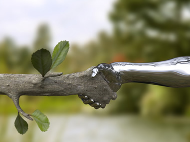 environmentally-friendly.jpg